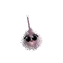 LocoLobster06