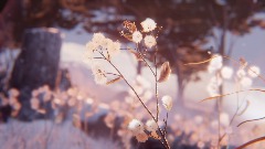 A screenshot taken in Dreams. 13 of 14.