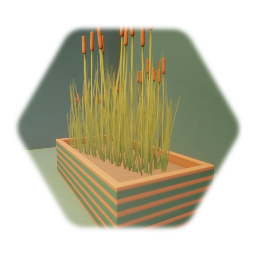 Swamp Tails in Raised Bed 1