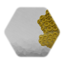 Yellow Coral