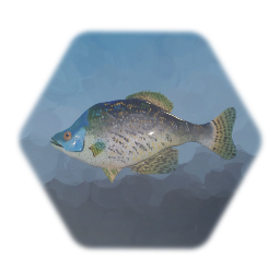 Fish (Crappie)