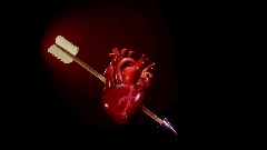 Love Heart