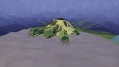 Environment for painted tortoise (Stampy)