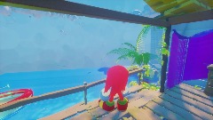 Knuckles The Echidna 13
