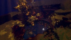 Water reflection test