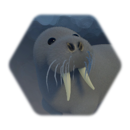 Walrus Dumplin'