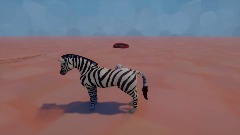 Zebra hub world