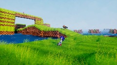 WHAT IS WRONG WITH YOU SONIC