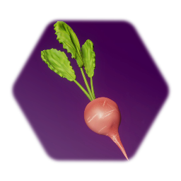 Food 5
