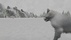 Wolf of the snow