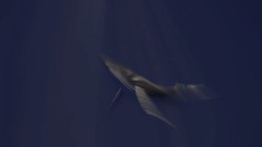 A screenshot taken in Dreams. 13 of 18.