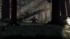 The Forest Of Eye Fungus