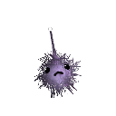 PandaLlamas5