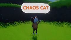 CHAOS CAT