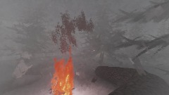 Blizzard in the West