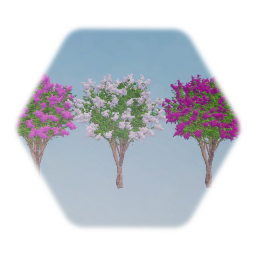 Southern Comfort Foliage