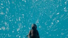 Snowy find light 1/3