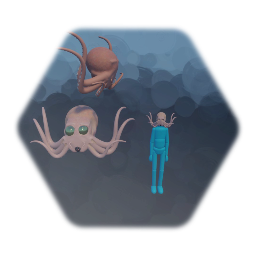 Squid