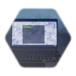 Laptop (with details)