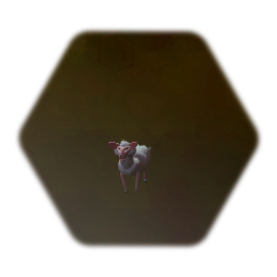 Sheep ragdoll