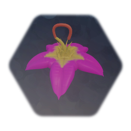 Pink flower