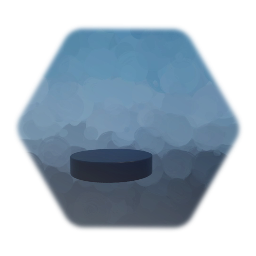 Hockey Puck