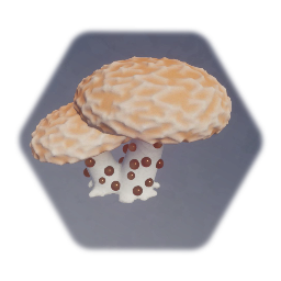 Rhodotus Palmatus Mushroom