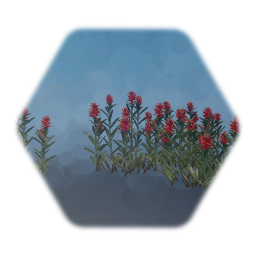 Indian Paintbrush Flower Cluster