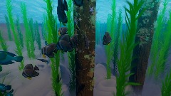 Fishy Boids VR