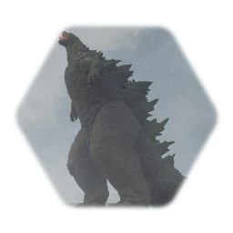 The xhejin collection