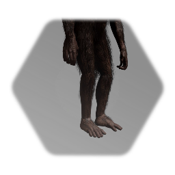 Australopithecus model  WIP