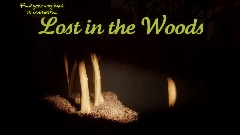 Lost in the Woods