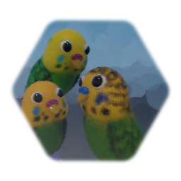 Budgies