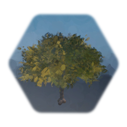 Flora Collection - 19/4/2019