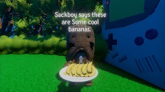 Sackboy says these are Some cool bananas!!! He dies!!!