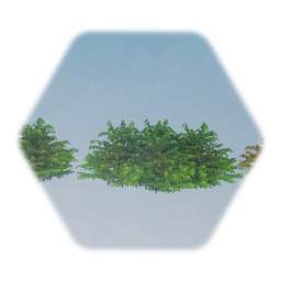 American Honeysuckle Bush