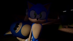 Sonic ultimate flexworks