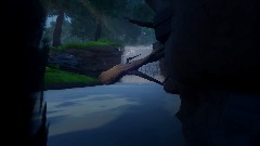 Morning in the forest