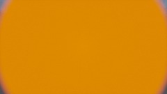 Don't Press the Button