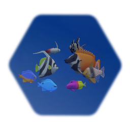 Random Fish Collection