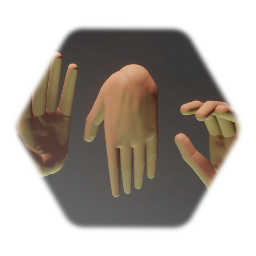Hand TEMPLATE V2