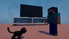 Steve With Chris (Movie)