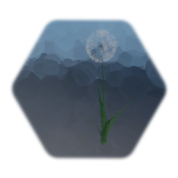 Dandilion seed head physical