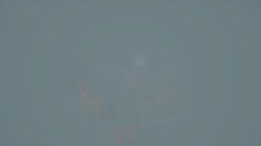 Pokémon Skate Video