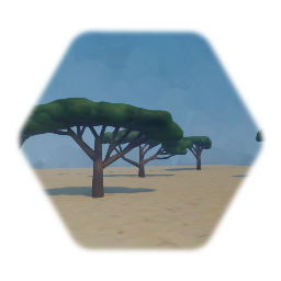 (DBJJ1) Umbrella Thorn Acacia