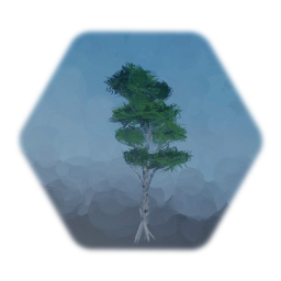 White tree dark leaves