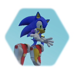 Sonic and  The project