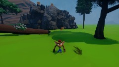 Crash Bandicoot Nature