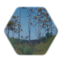 Aspen stand. Tree group - Forest