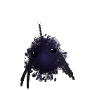 alakazamber